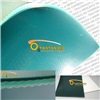 Correia para transporte em pvc verde e nylon - 2 lonas